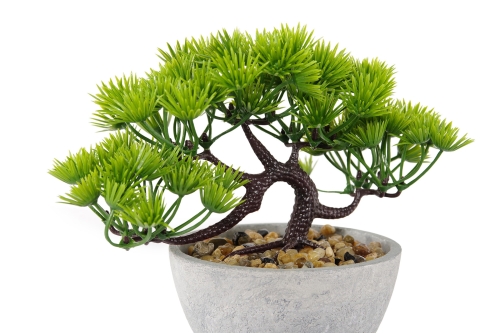FC Five Needle Faux Bonsai Lw X