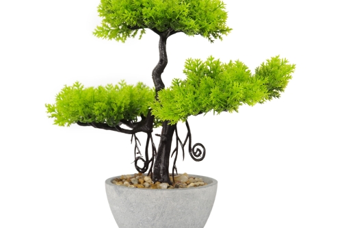 FC Ternion Faux Bonsai