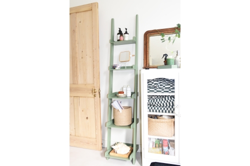 FC MDF Narrow Leaning Ladder HOTH LS