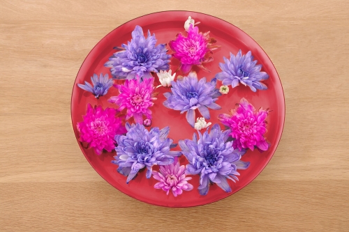 FC Enamel Flower Bowl Sunset Pink
