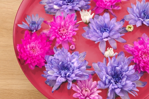FC Enamel Flower Bowl Sunset Pink