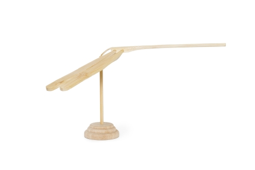 FC Damselfly FC Damselfly