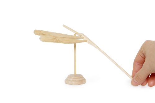 FC Damselfly FC Damselfly