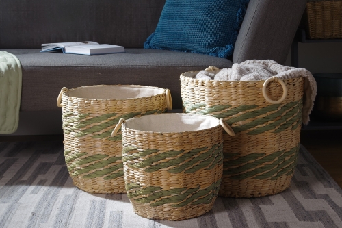 FC Pavie Baskets LS Znu Ho