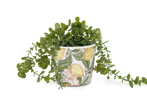 FC Limone Plant Pot