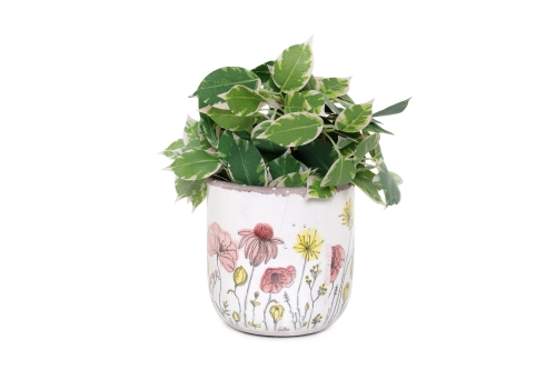 FC Poppies Plant Pot