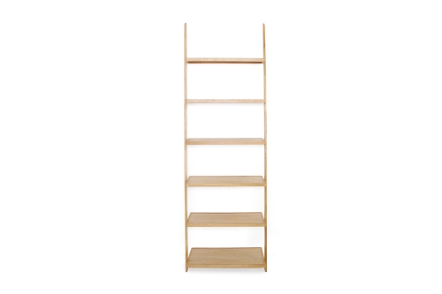 FC Tall Leaning Ladder Shelves