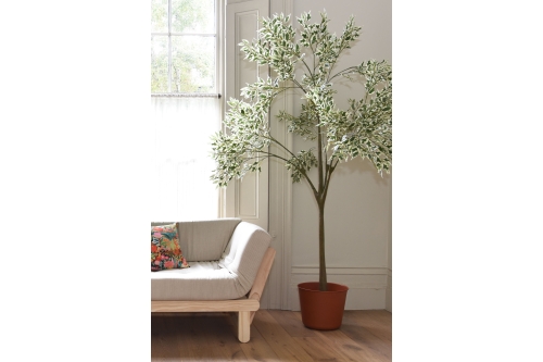 FC Circe Plant Pot Terracotta AS LS