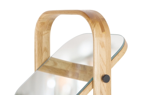 FC Loop Mirror