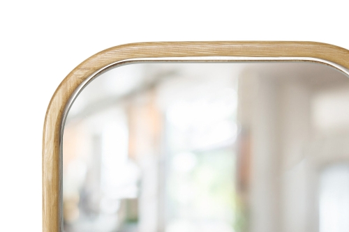 FC Loop Mirror