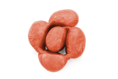FC Multee Cushion Ochre