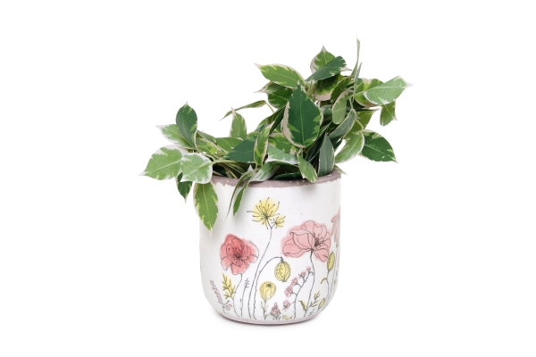 FC Poppies Plant Pot