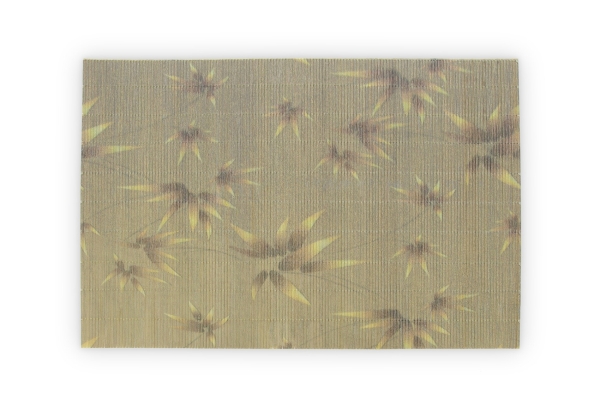 Sasa Bamboo Placemats set of 4 (Olive Green)