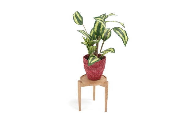 Thalia Plant Stand