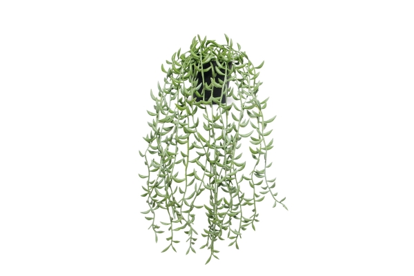 FC Trailing Succulent Faux Plant