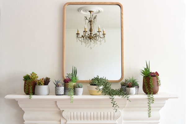 Faux Plants Bromley LS Vfs