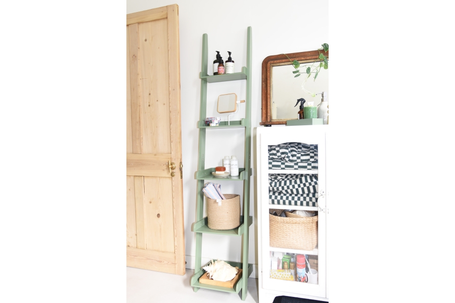 FC MDF Narrow Leaning Ladder HOTH LS