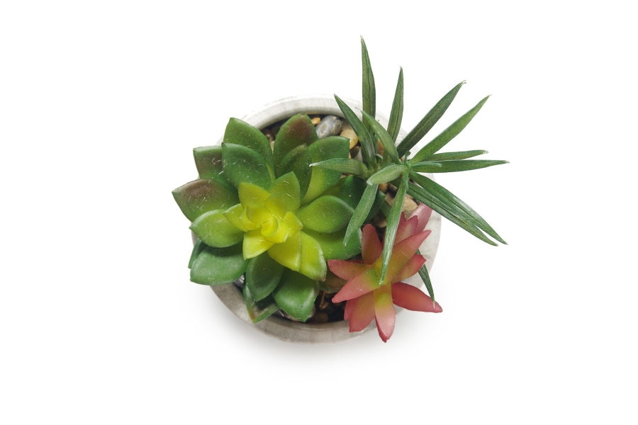 FC Marble Garden Green Plum Faux Plant