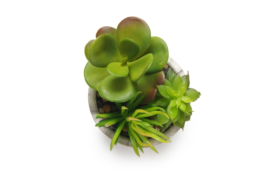 FC Marble Garden Green Faux Plant