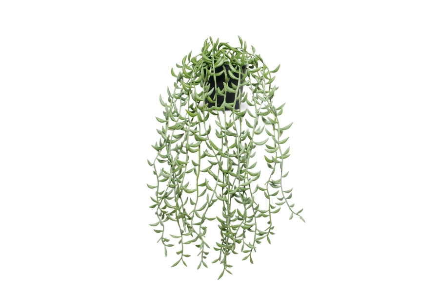 FC Trailing Succulent Faux Plant