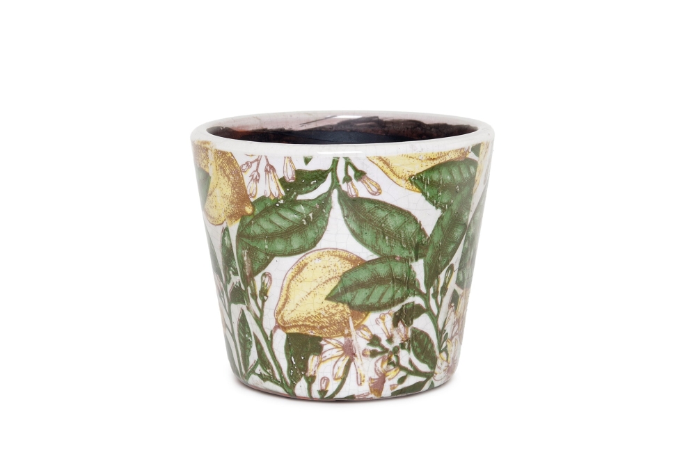 FC Limone Plant Pot