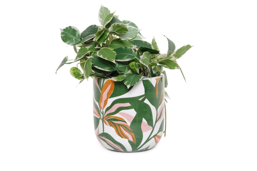 FC Zuzu Plant Pot