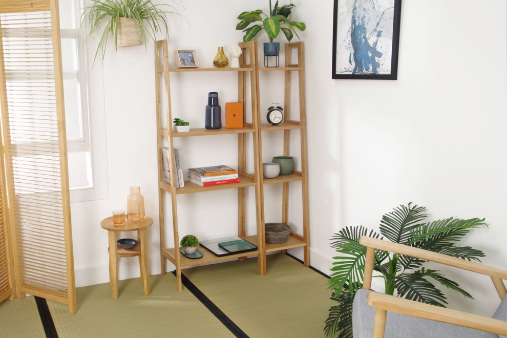 FC Birch Iso Shelves LS Lyru Ko
