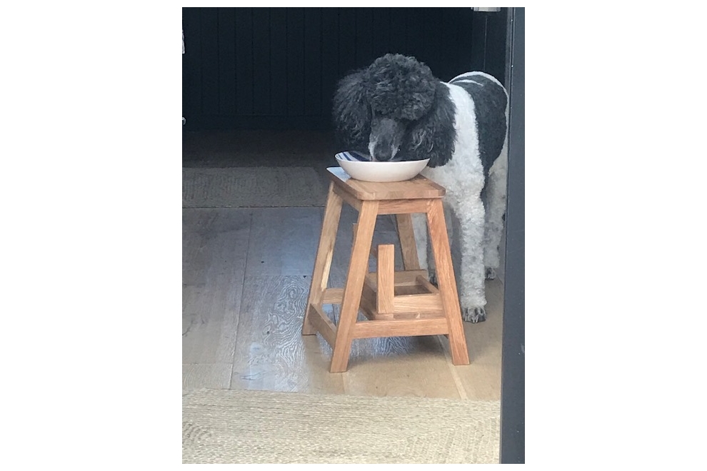 Step Stool