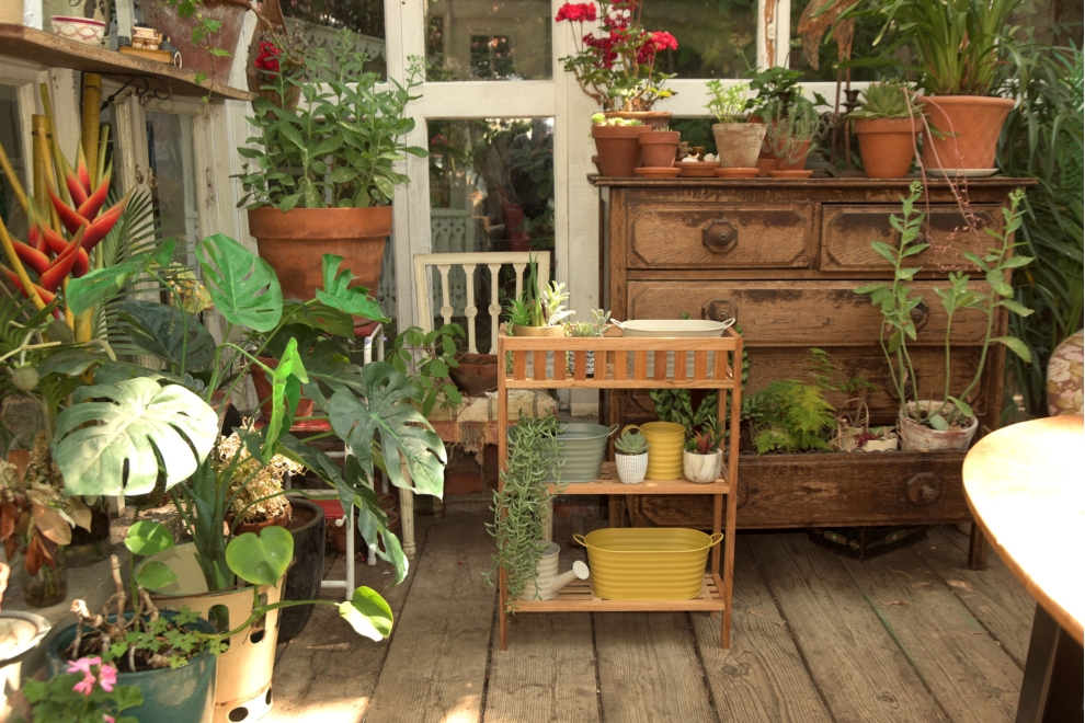 Hana Walnut Plant Stand Bromley LS