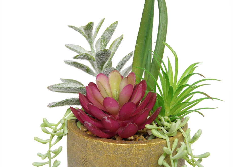 FC Joshua Succulent Garden Faux Plant