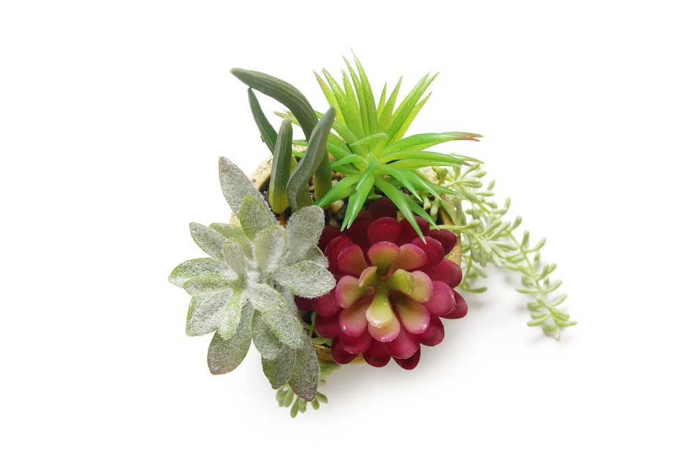 FC Joshua Succulent Garden Faux Plant