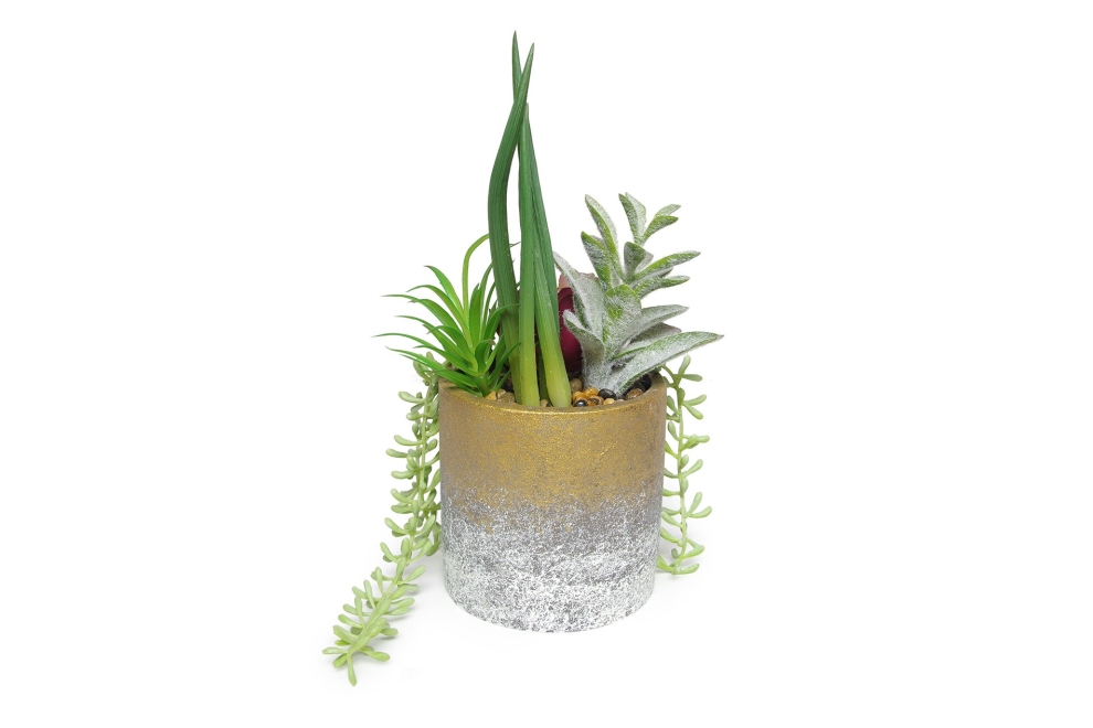 FC Joshua Succulent Garden Faux Plant