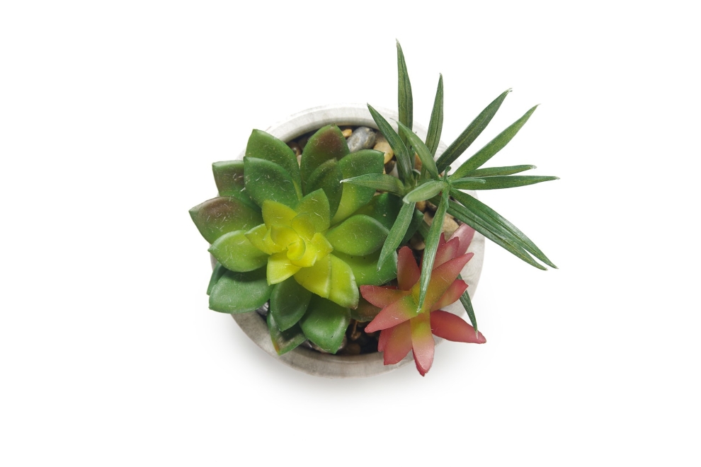 FC Marble Garden Green Plum Faux Plant