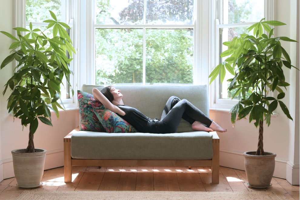 Quad - 2 Seater Birch Double Sofa Bed - With a Model