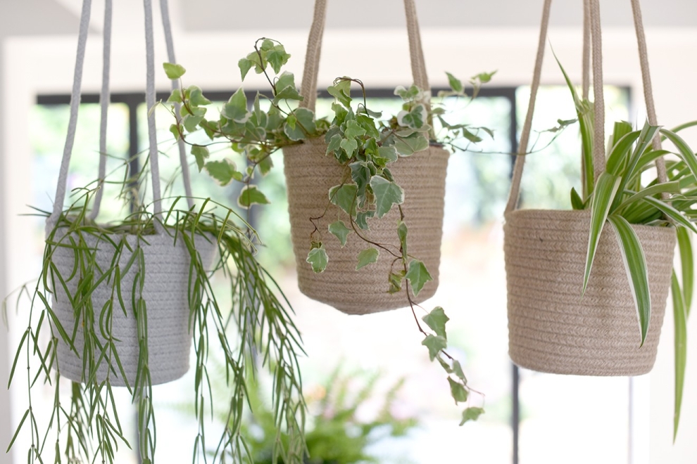 Gourdon Hanging Basket WH